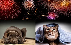 Things That Go Bang in the Night