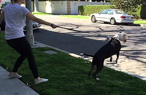 House Angel / Outside Nightmare