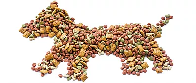 My Dog Will Get Fat If I Train Him